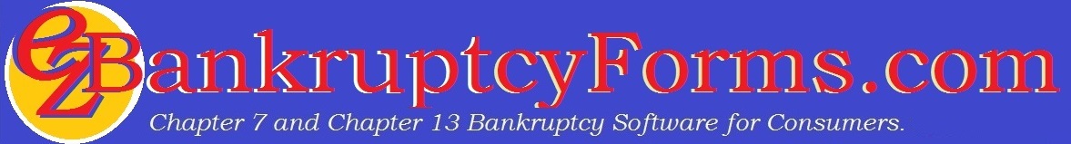 Bankruptcy Without A Lawyer